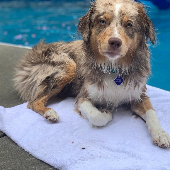 I’m Corinne! Thanks for stopping by to get to know me 😁 - Picture 13 of 14